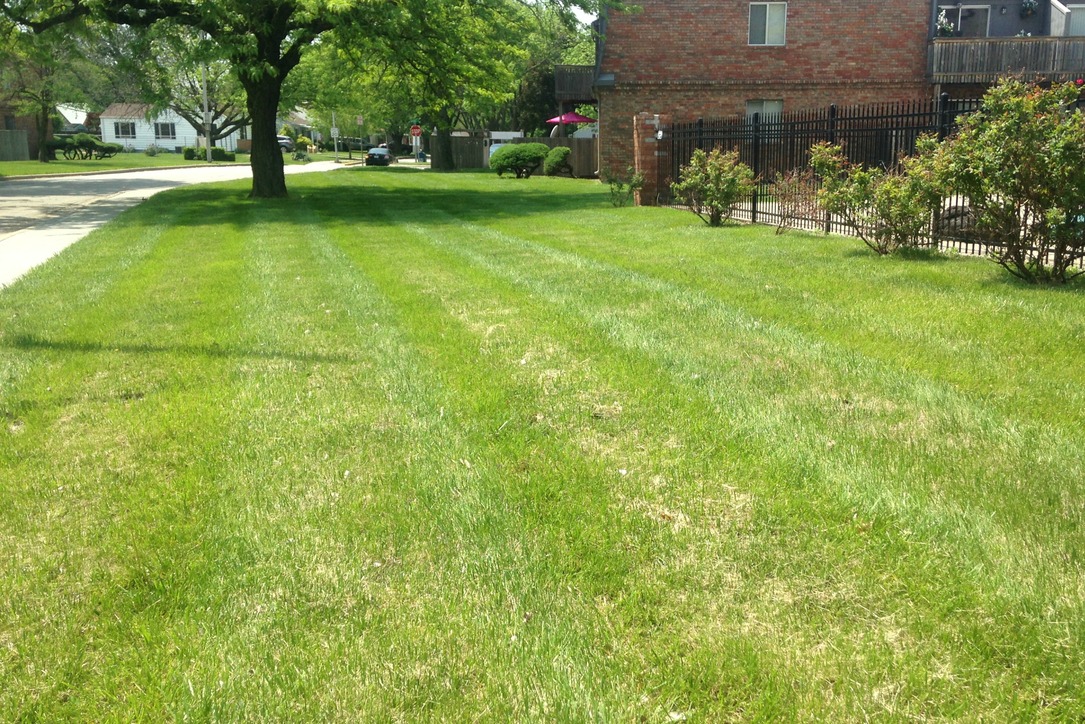 French Quarters Image 2