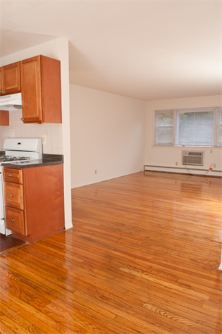 Tivoli Gardens Image 6