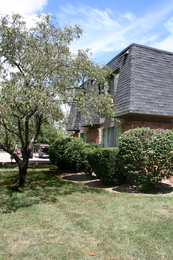 Amber Creek East Apartments Image 7