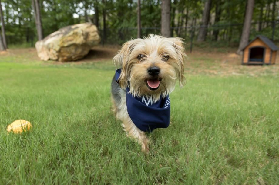 Camden Stockbridge Image 18