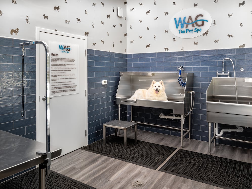 WAG pet spa