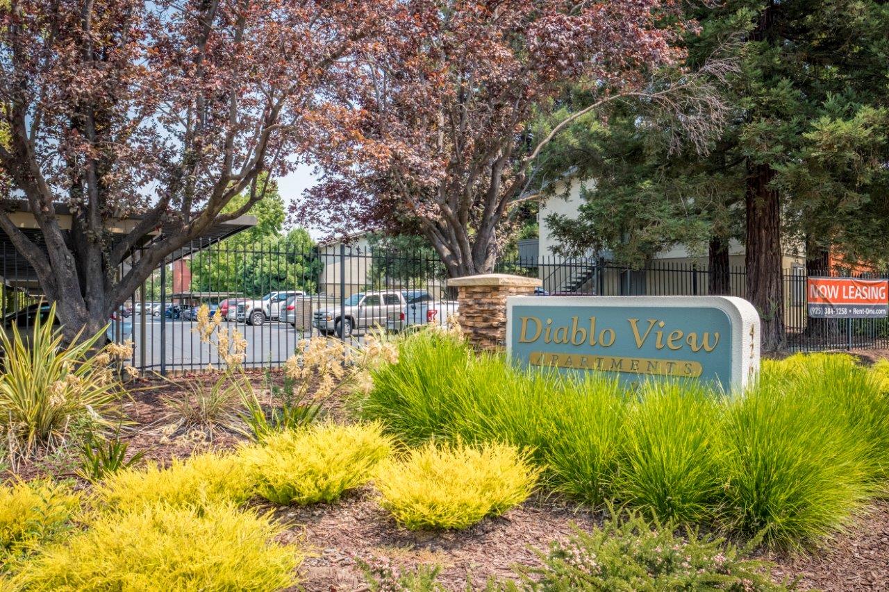 Diablo View Image 36