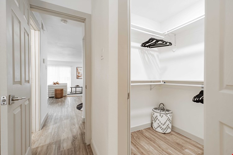 The Campbell Image 15