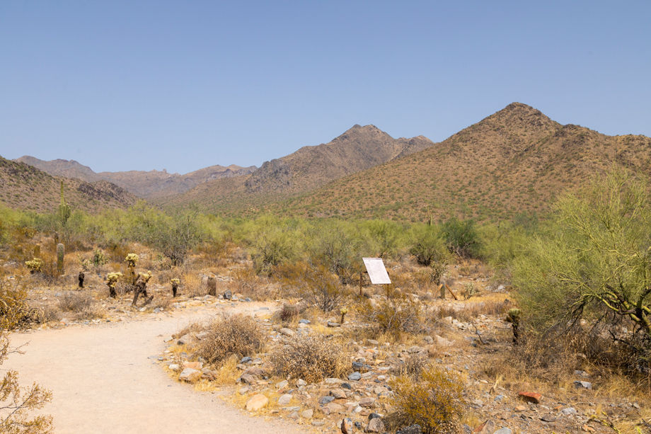 Camden Foothills Image 47