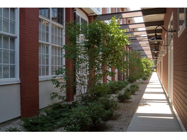 Industrial sculpture garden