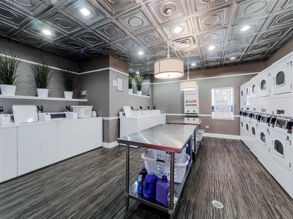 The Patricians Image 5