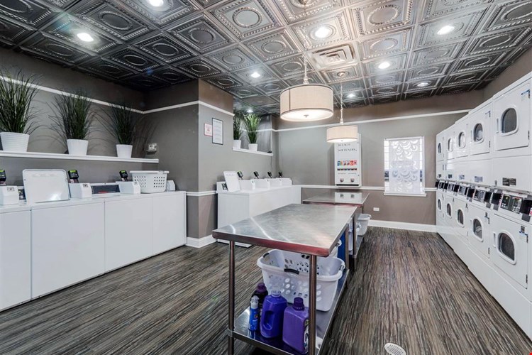 The Patricians Image 5