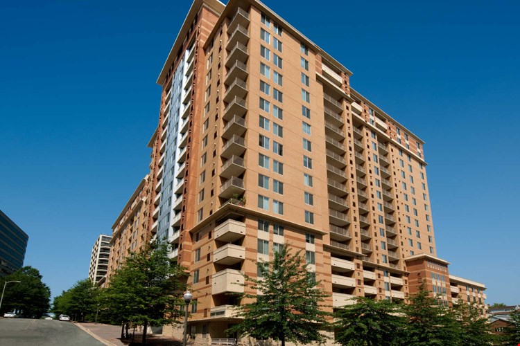 1800 Oak Image 2