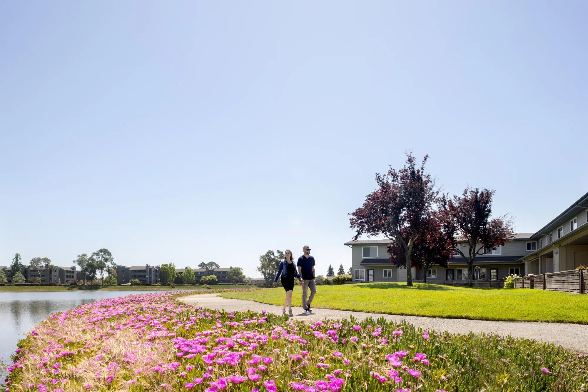 Chesapeake Point Image 5