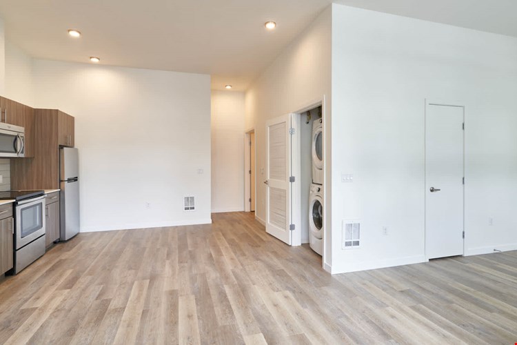 Springline  Image 46