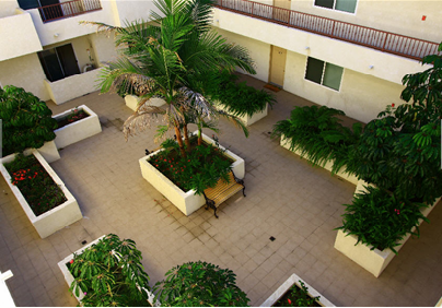 IMT Devonshire Image 21