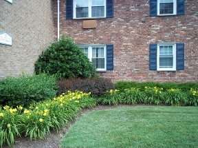 Lawrenceville Gardens Image 17