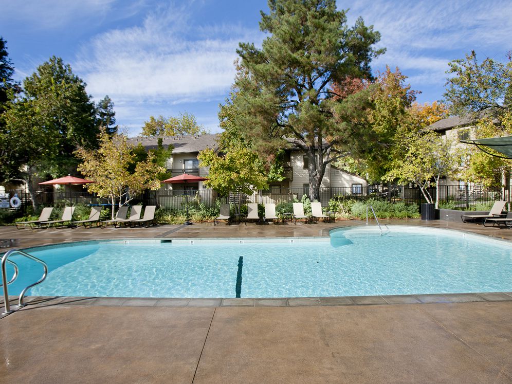 Swimming Pool and sundeck with lounge seating