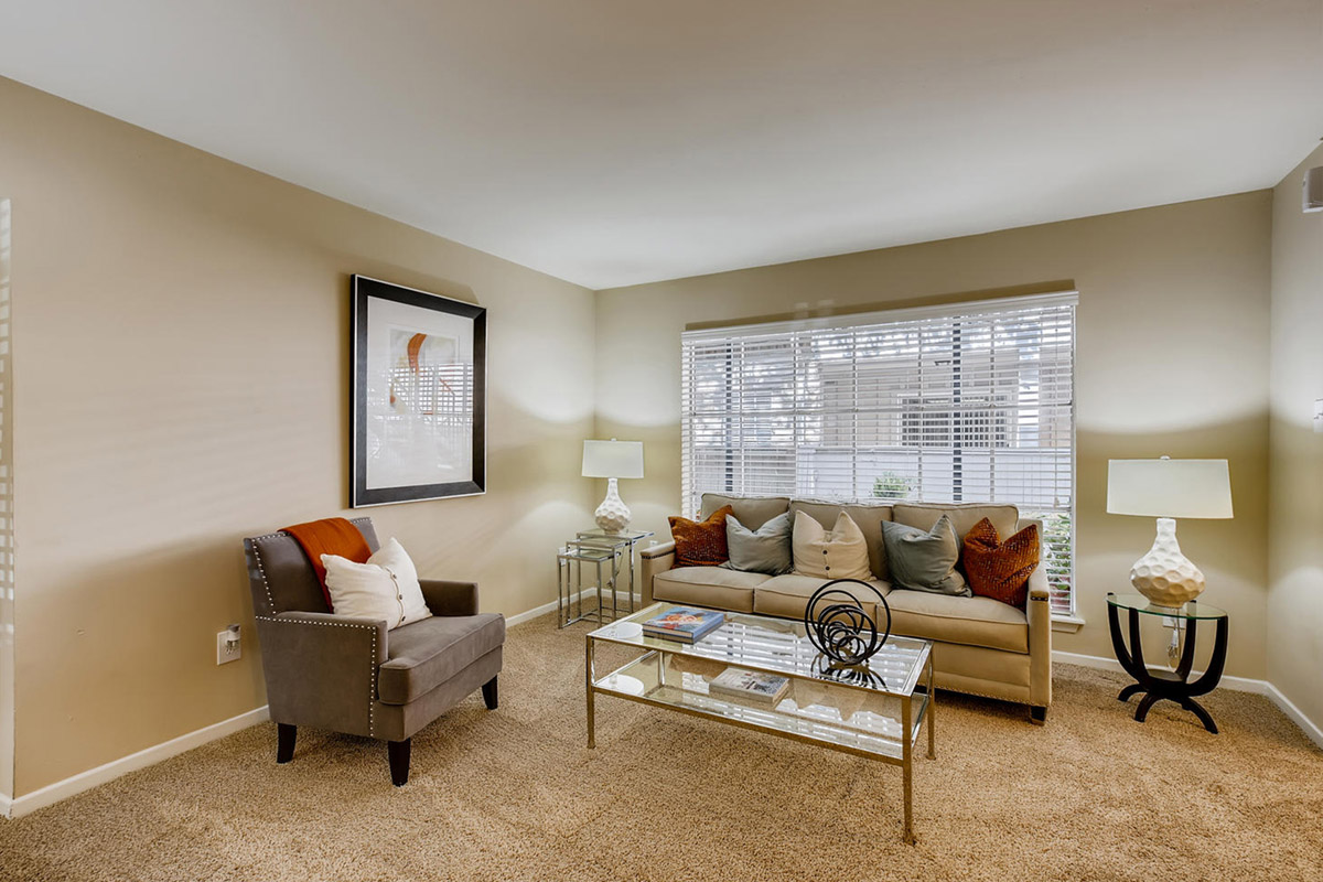 The Bordeaux Image 3