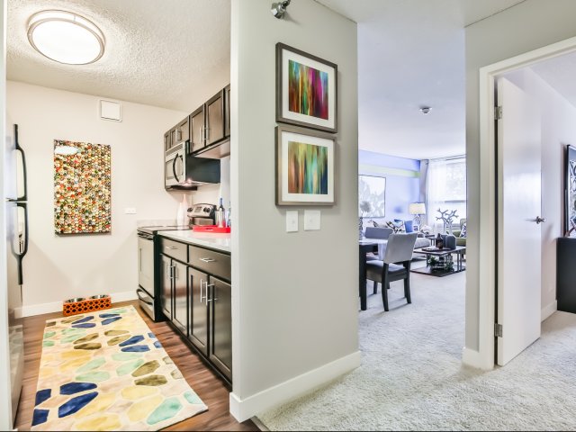 Renovated one bedrooms