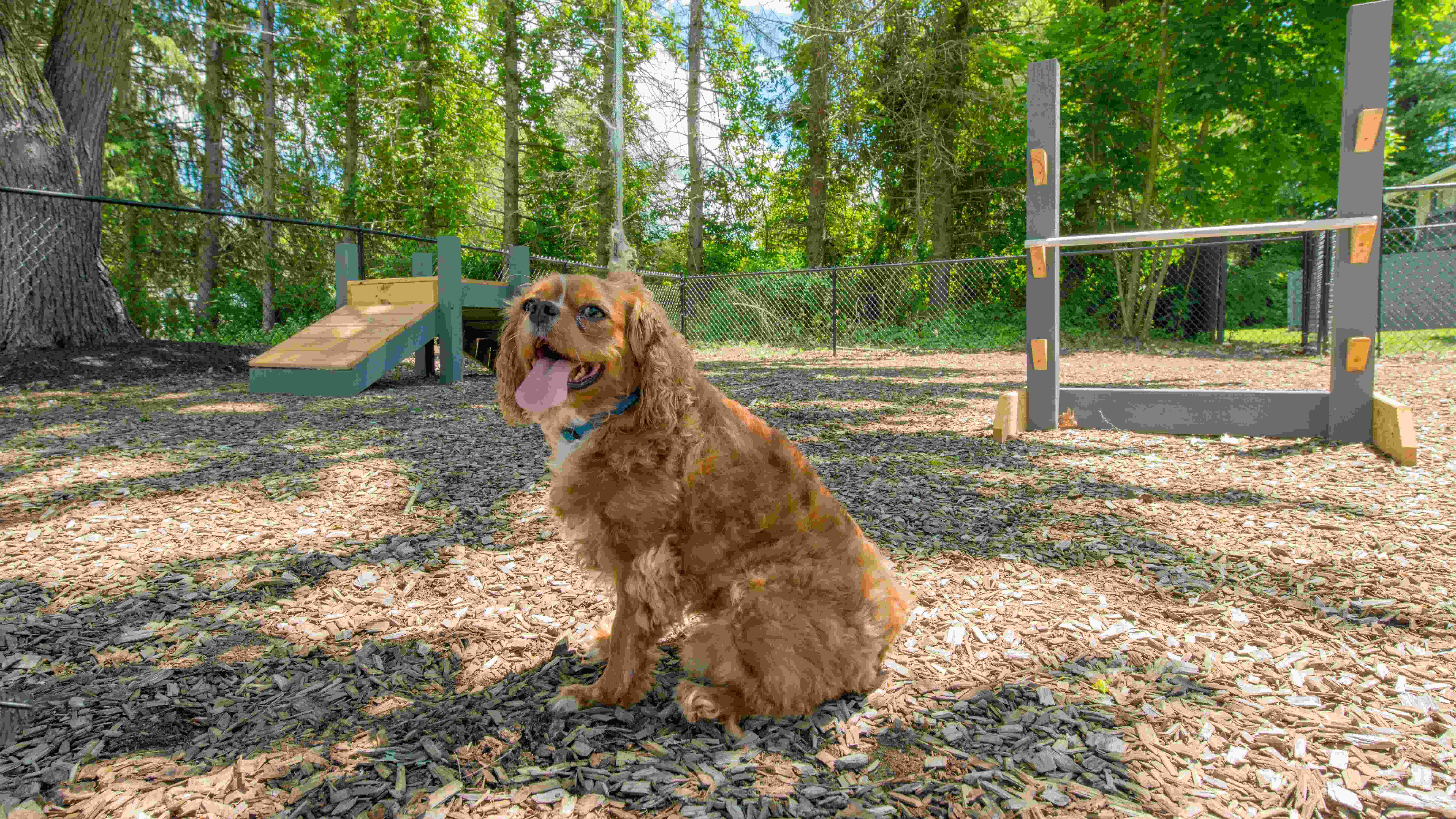 Our pet friendly community welcomes your fuzzy companions to keep you company in your new home. 