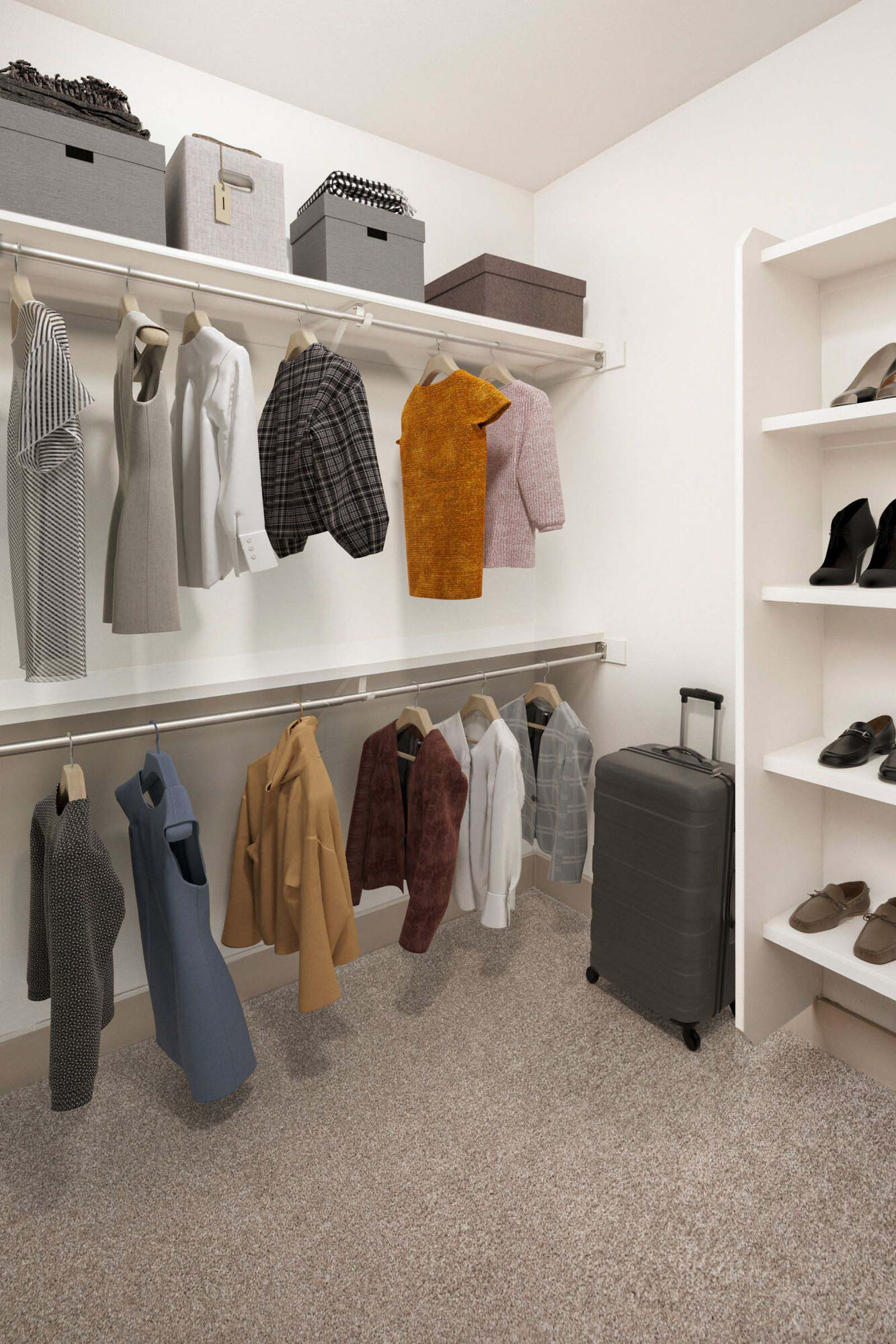 Camden Chandler Image 7