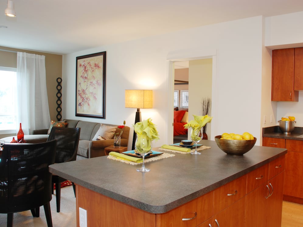 Classic Package I kitchen and living room