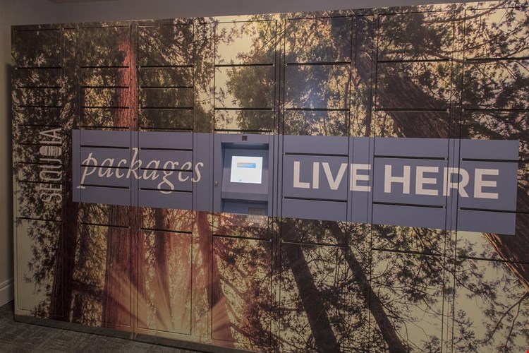 Mill Springs Park Apartment Homes Image 18