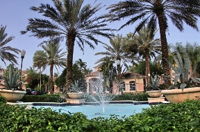 The Grove at Turtle Run Image 15