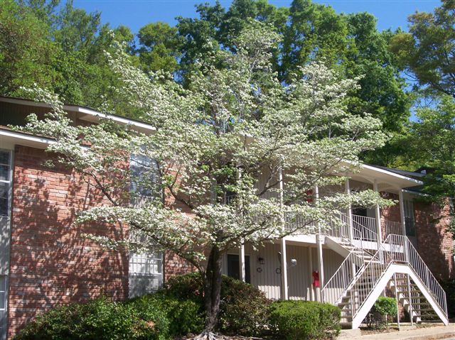 Kingswood Apartments Image 3