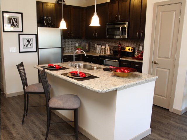 Granite Countertops with European-Style Cabinetry