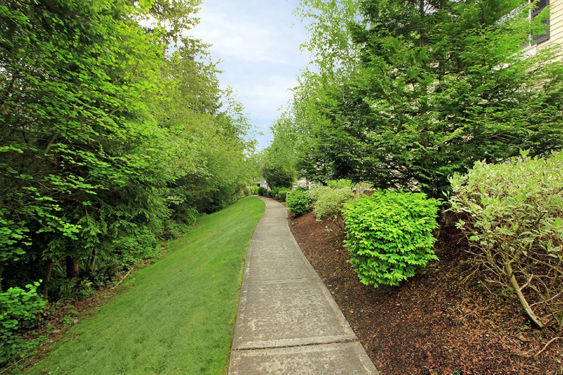 Echo Ridge Image 11