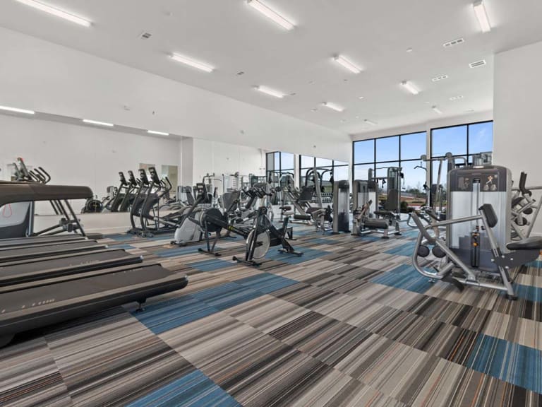 Reveal Skyline Image 7