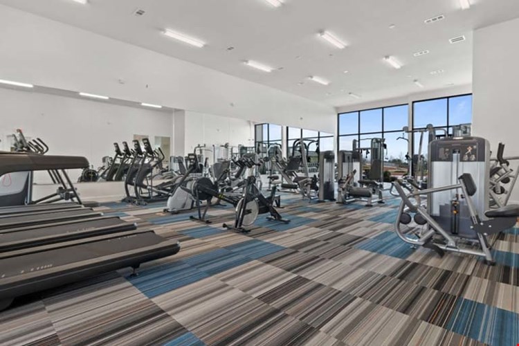 Reveal Skyline Image 7