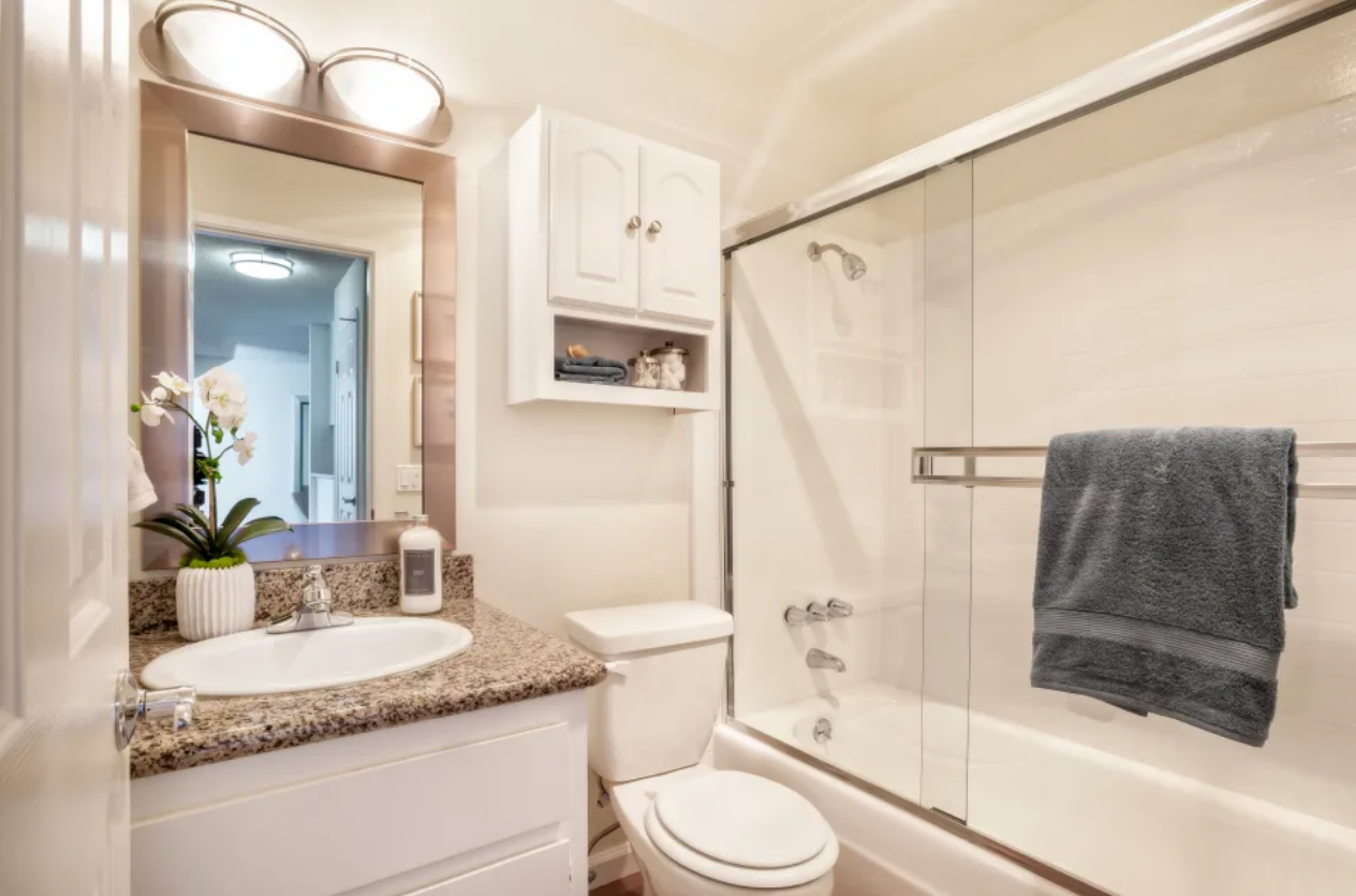 Newport Apartments Image 7