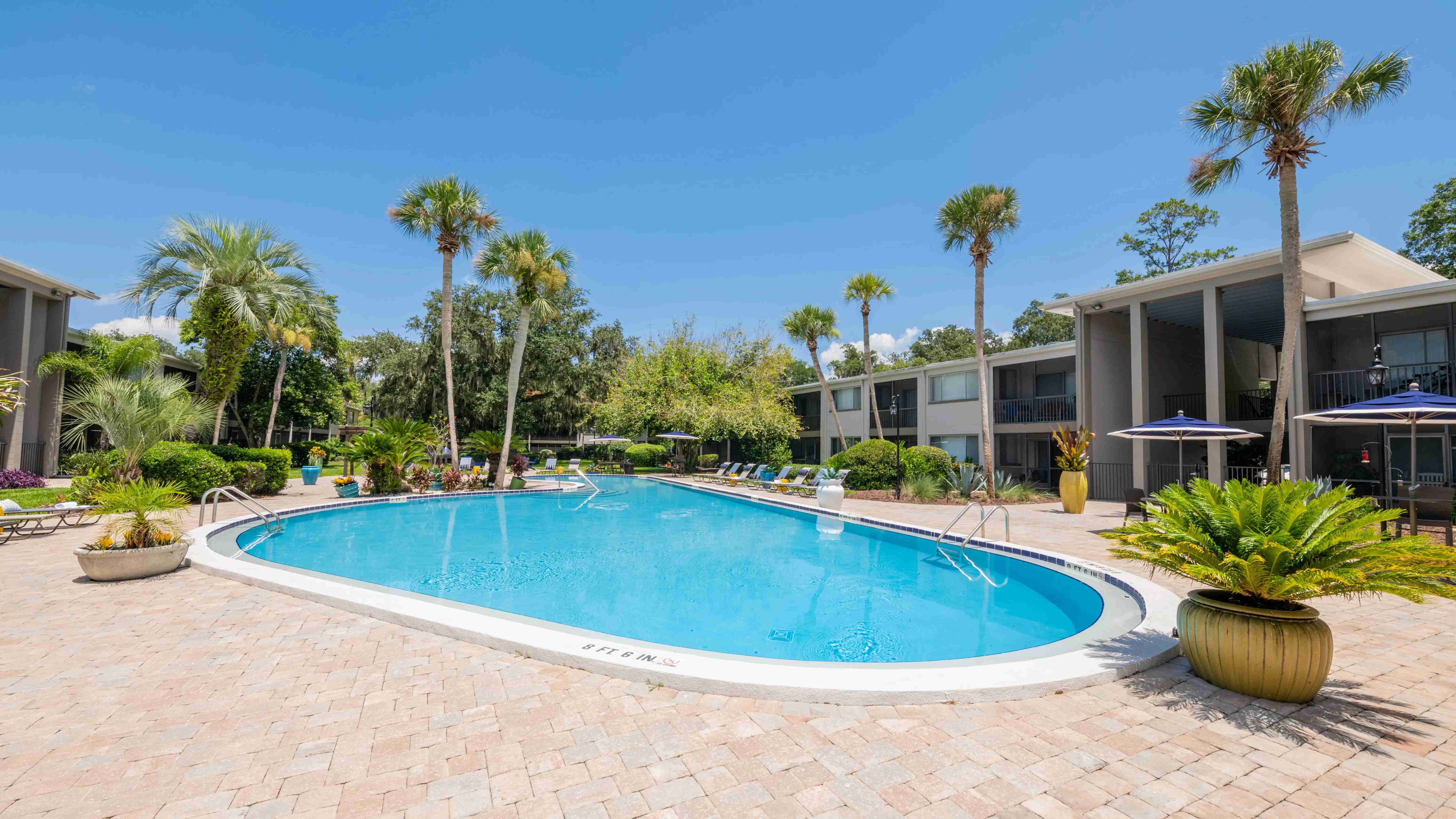 Step into a perpetual sanctuary of sunshine, where poolside loungers offer year-round vacation ambiance by the water's edge. 