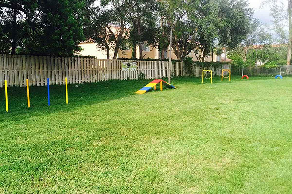 Our dog park features agility equipment for your pup to get some exercise.