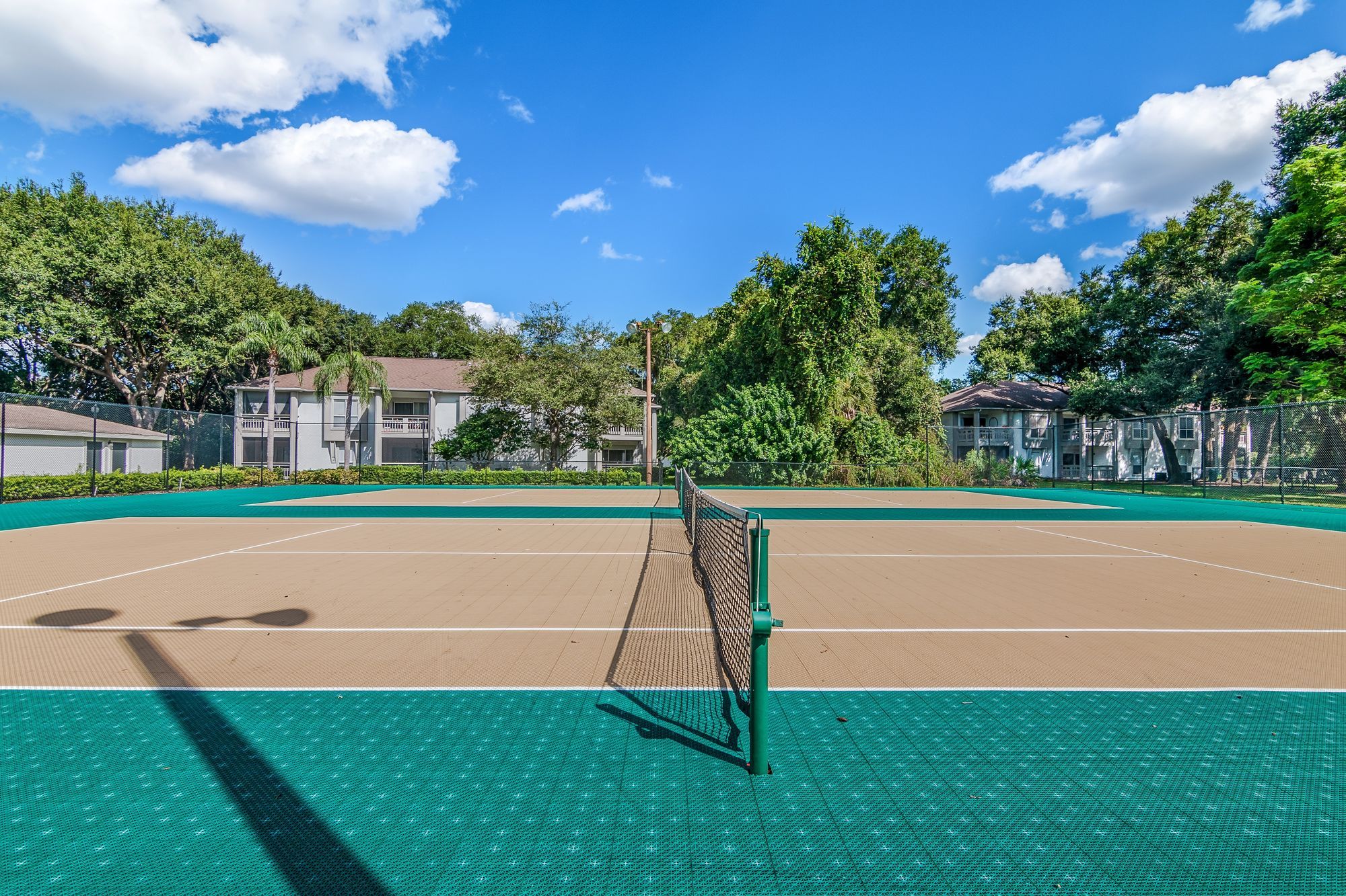 Arium Citrus Run Image 21