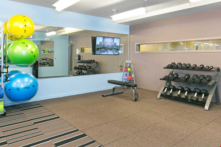 Springline  Image 28