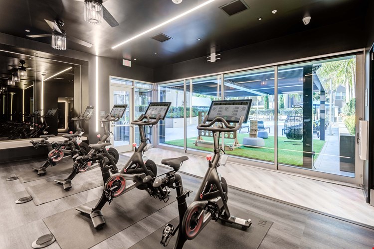 IMT Gallery 421 Image 6