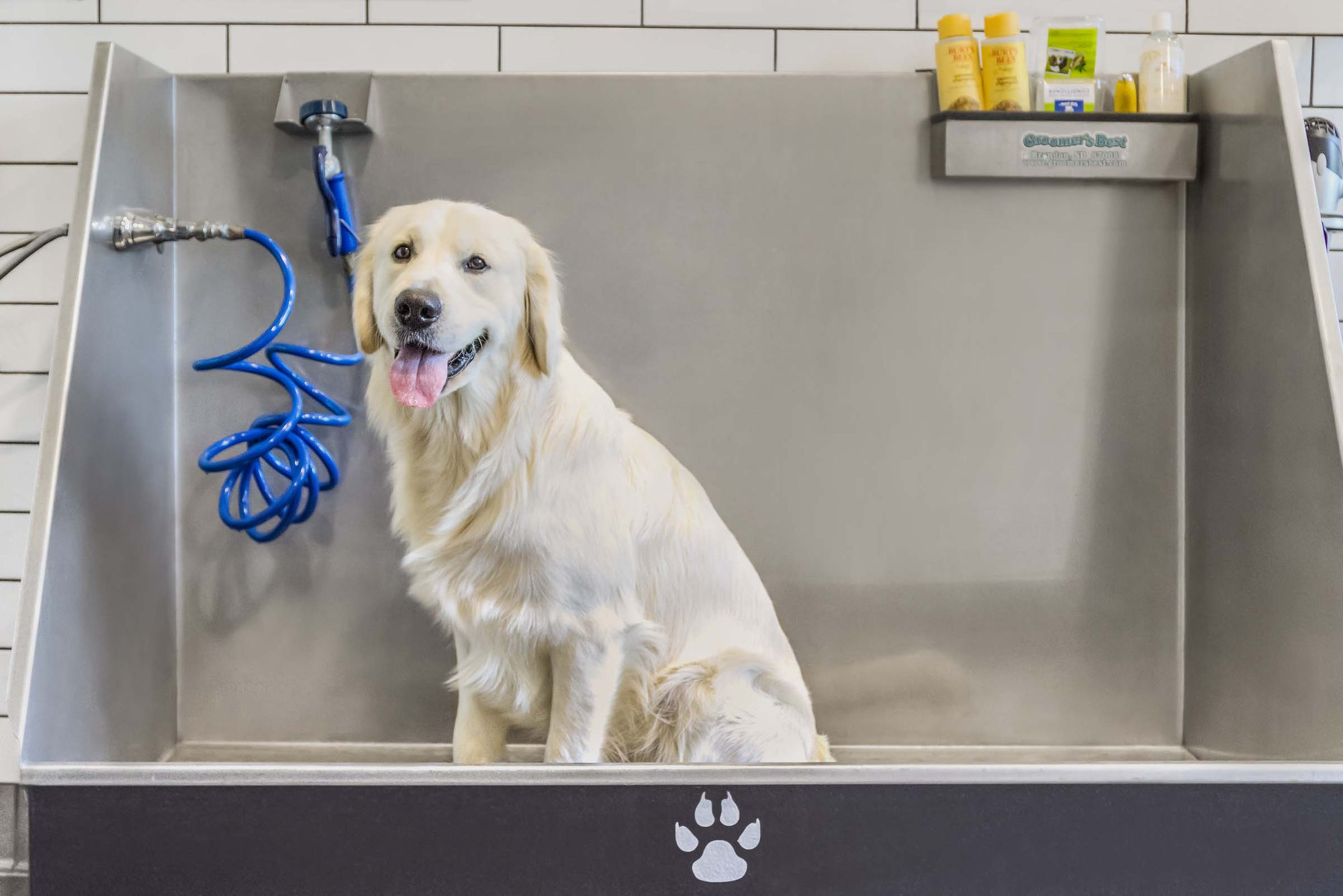 Camden Buckhead Square Image 23