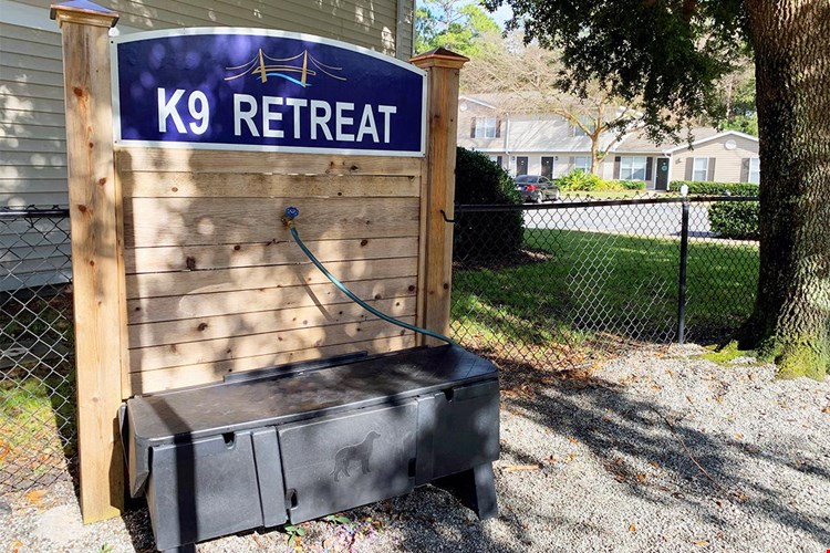 Utilize our dog wash and give your pup a bath.