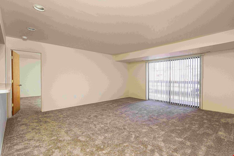 Living Room at Franklin River