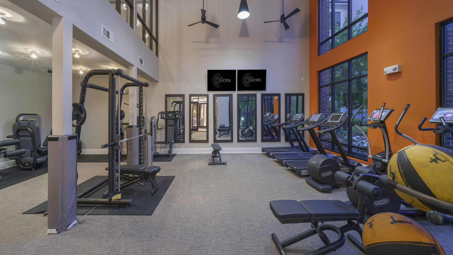 The Collection Image 49