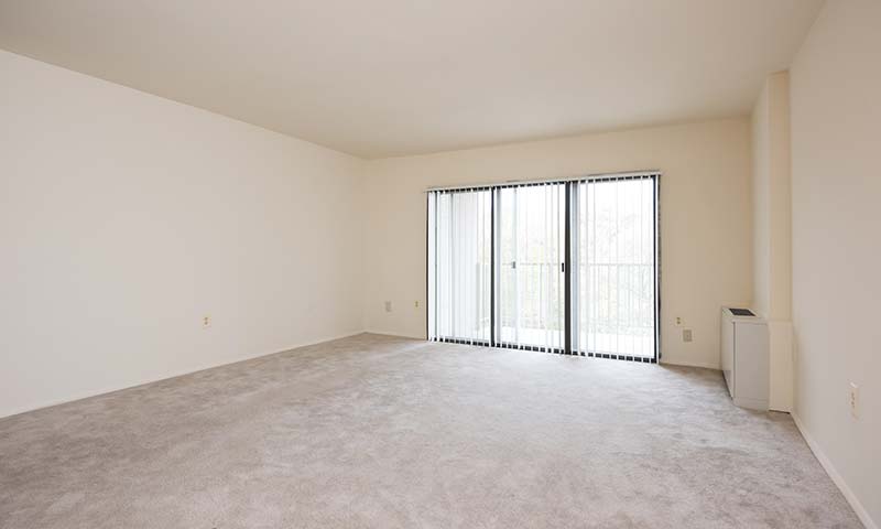Montgomery White Oak Image 6
