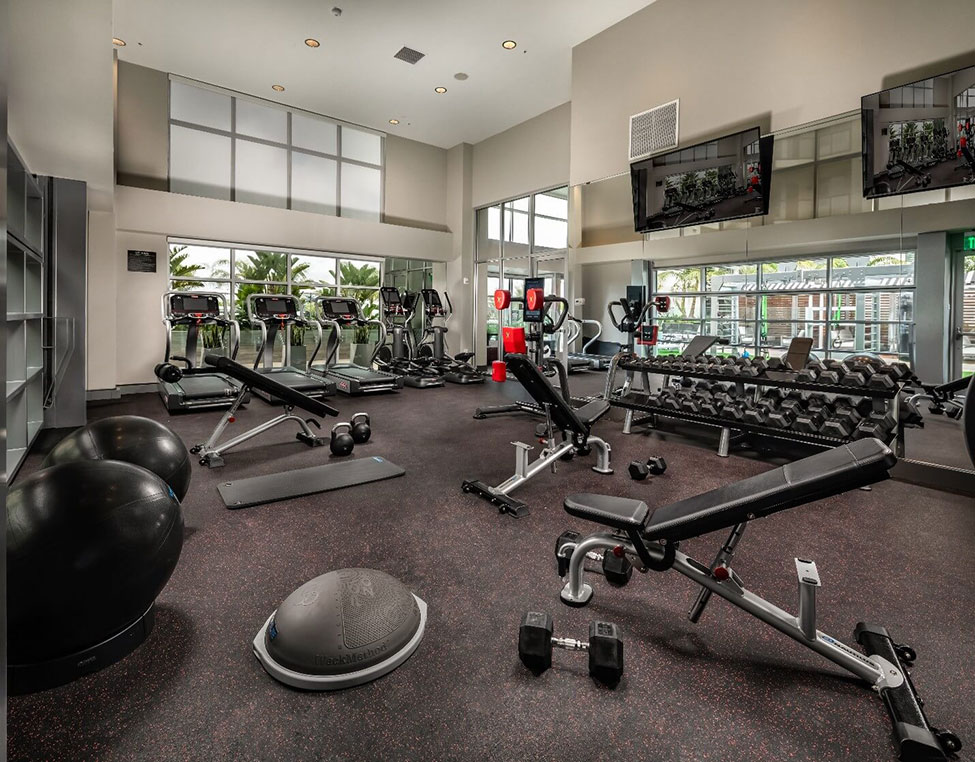 Vive on The Park Image 13