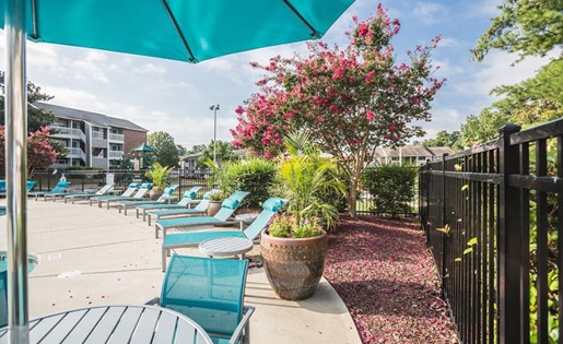 Anson at North Hills Image 12