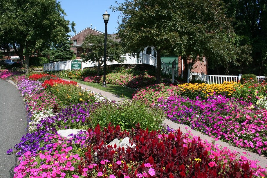Hathaway Farms Townhomes Image 2