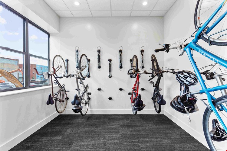 The Delmonte Image 11