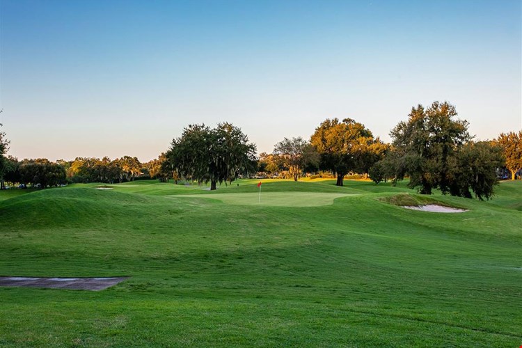 Alvista Metrowest Image 24