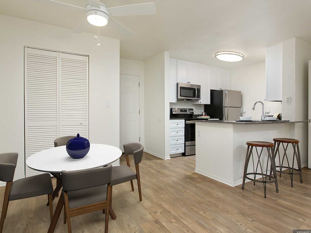 Modern Apartment Kitchen and Dining Area