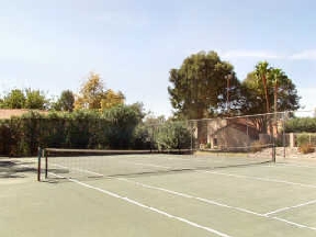 Orange Tree Village Image 11