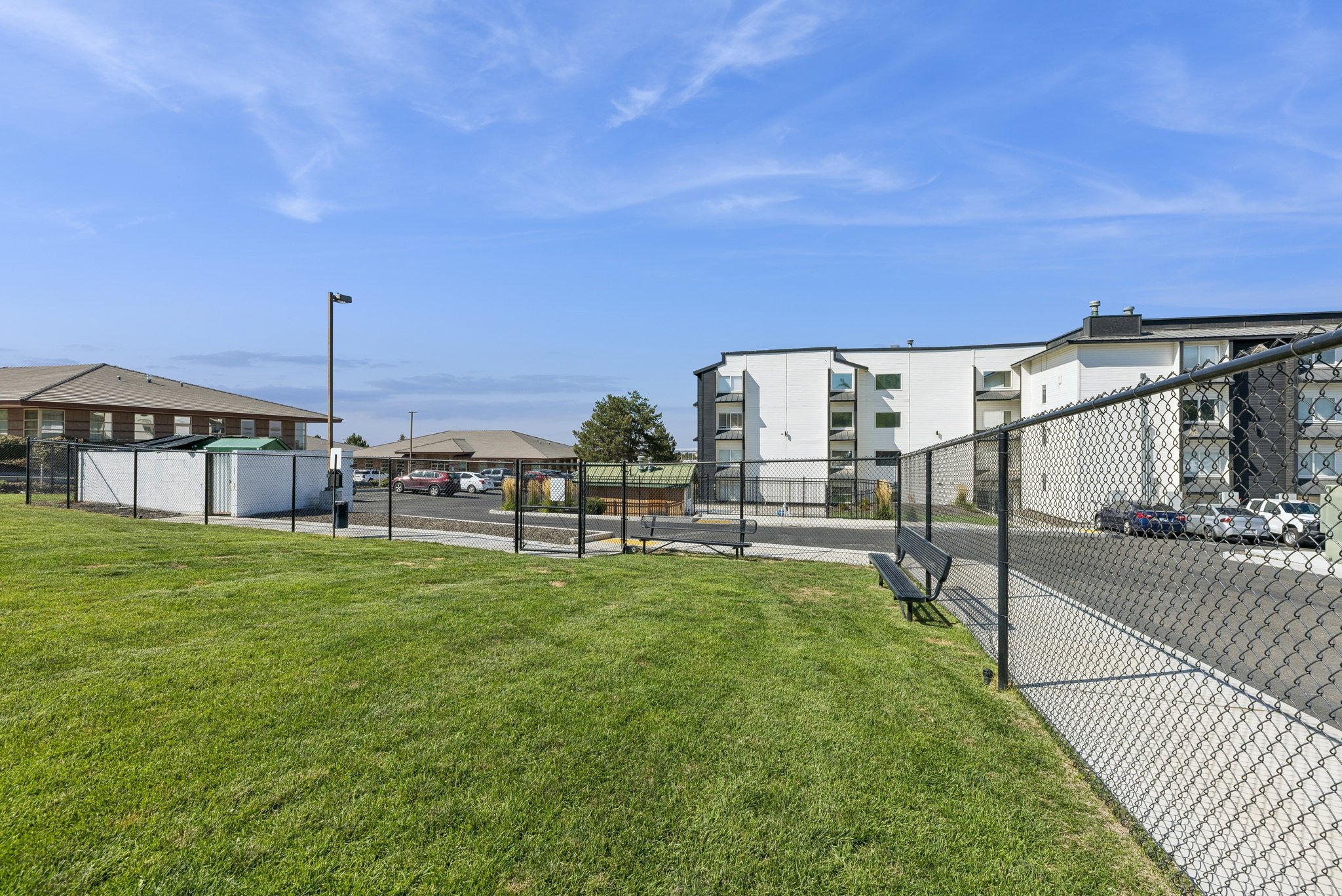 The Q Image 18