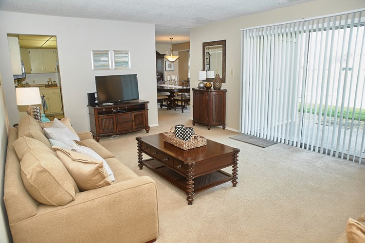 Classic Series Living Room at Somerset Lakes