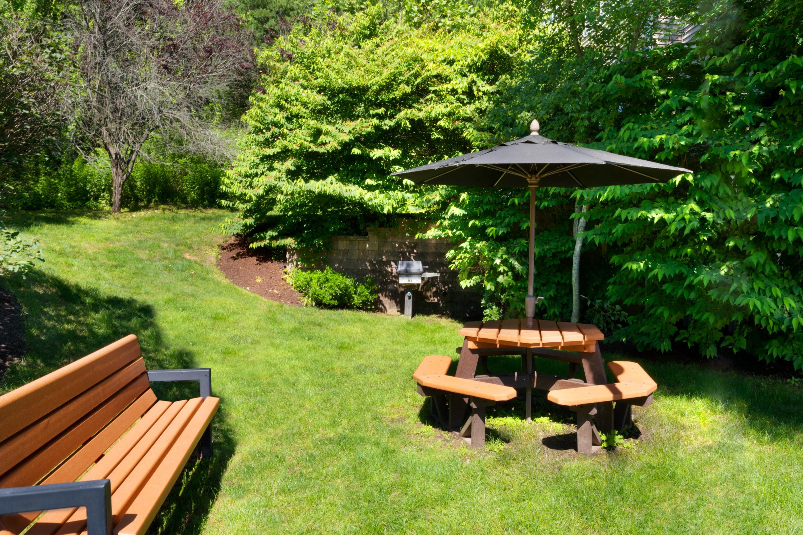 The Point at Still River Image 15